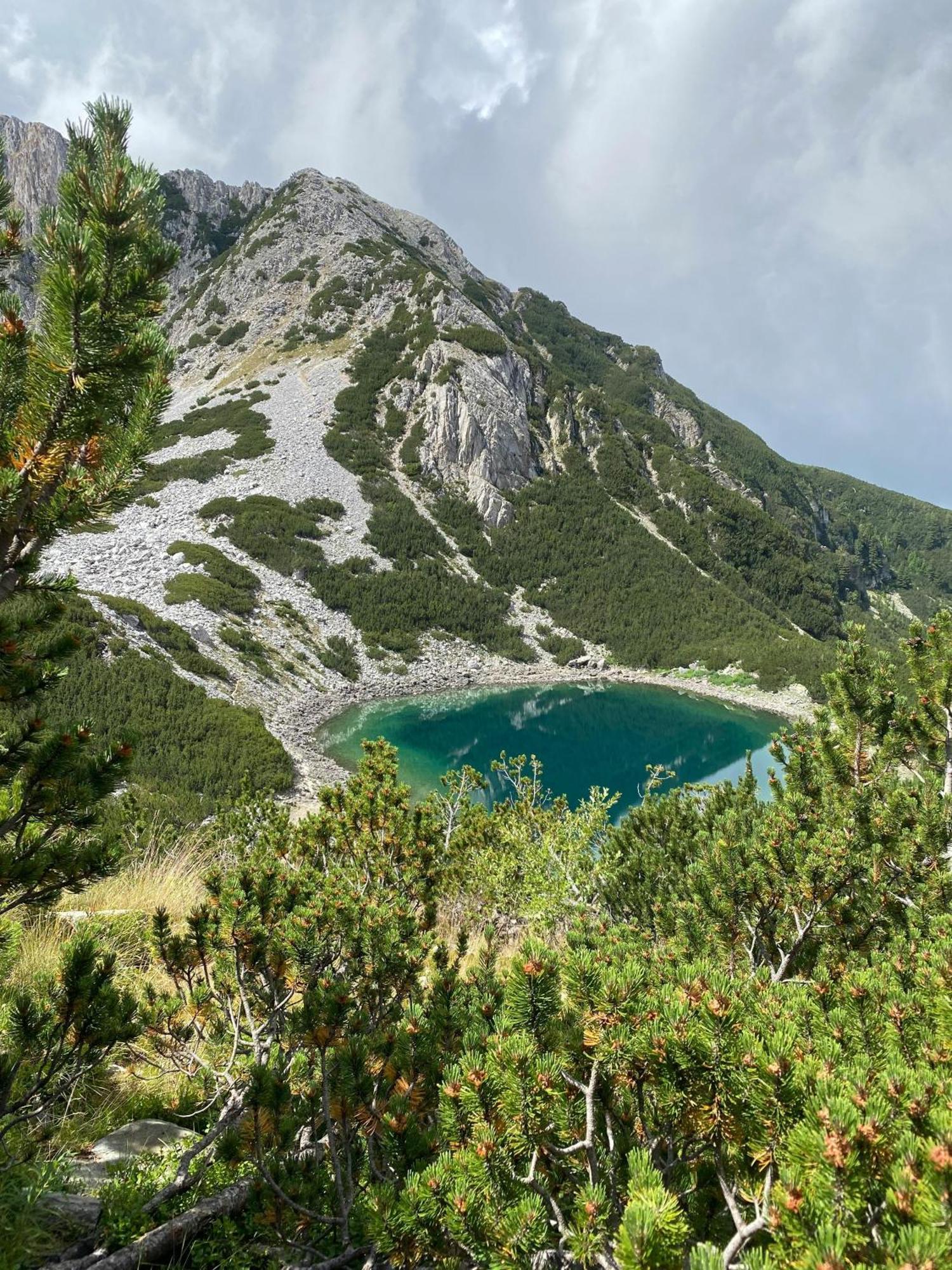 Efo Apartment Bansko Eksteriør bilde