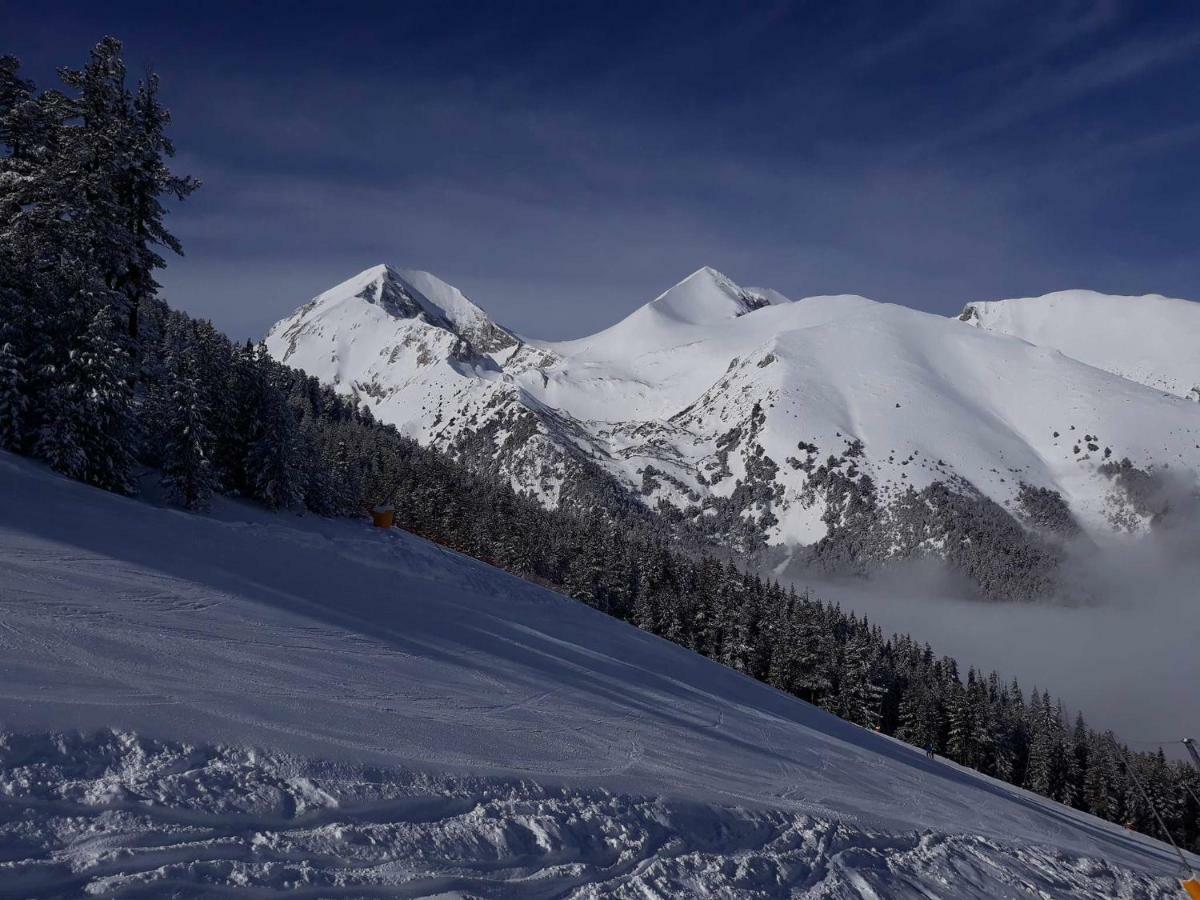 Efo Apartment Bansko Eksteriør bilde
